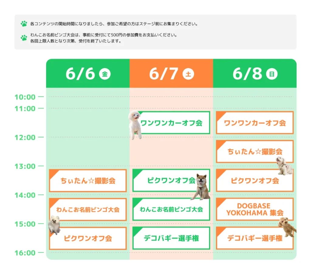 スケジュール